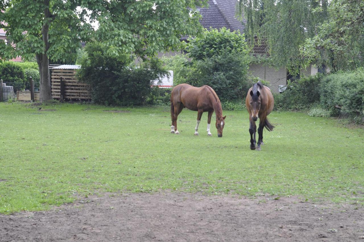 Im Alten Pferdestall Appartement